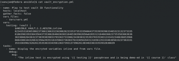The results of running cat vault_encryption.yml.