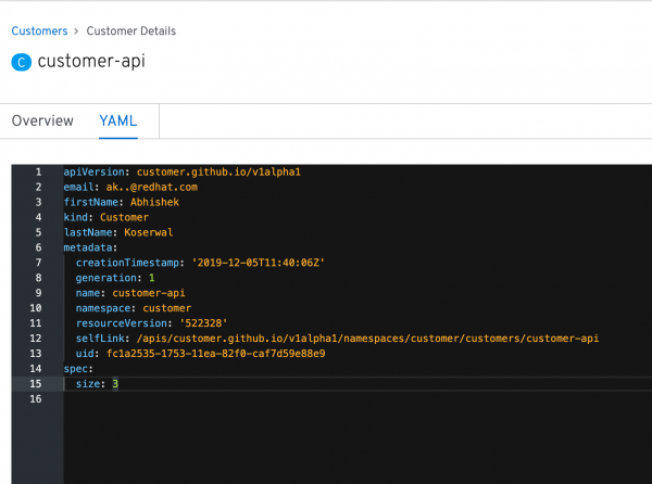 The new Custom Resource in the OpenShift API.