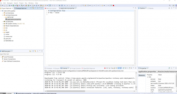A screenshot of the application.properties file open in an editor window.