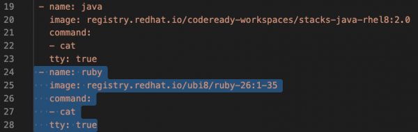 A screenshot of the configuration to add a Ruby container.