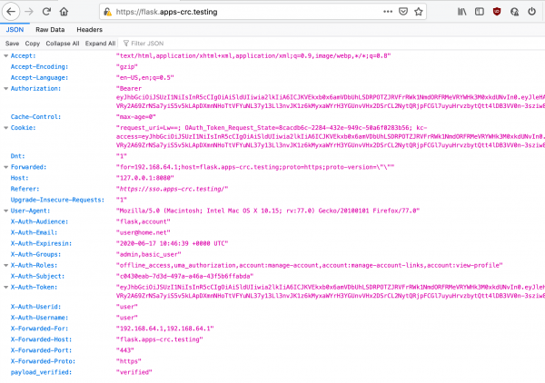 A screenshot of the JSON file.