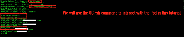 oc rsh to interact with Pod through OC CLI