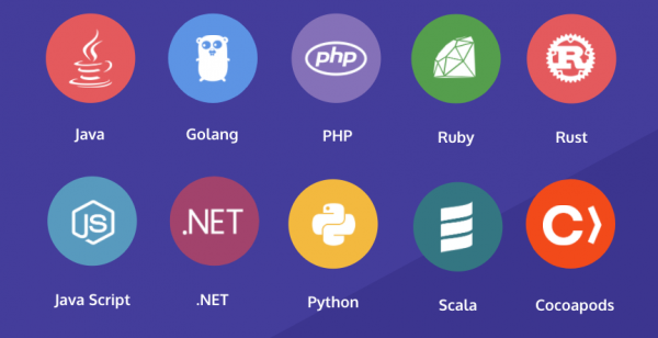 Programming languages in the Snyk ecosystem include Java, Python, Rust, and .NET.