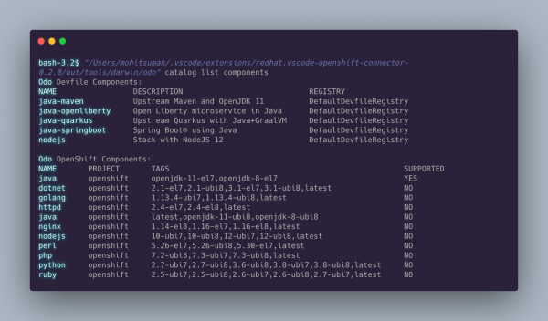The terminal displays a list of current devfile components.