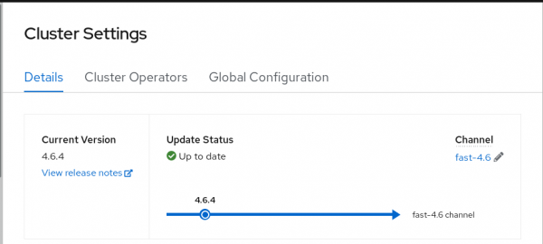 After the update to version 4.6.4, the Cluster Settings screen shows a new graphic.