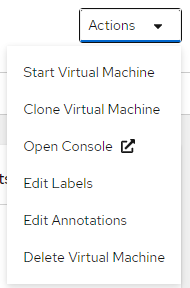 Select the option to start the virtual machine.