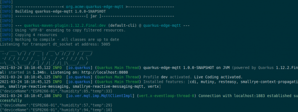 Quarkus development mode output