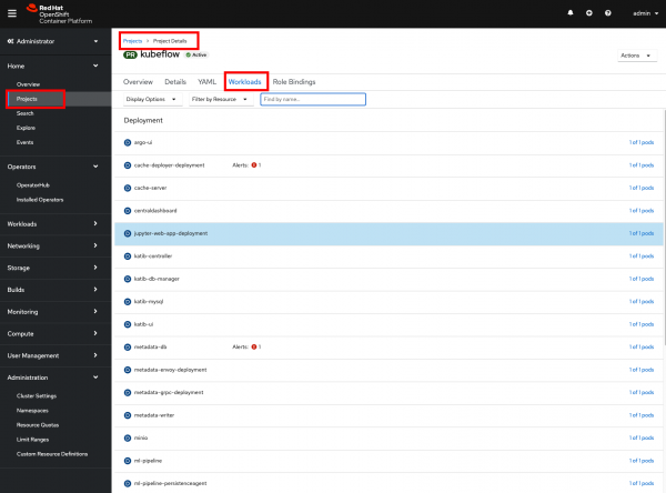 Screenshot of the workloads from the project overview page