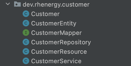 A screenshot of the Customer classes in a single domain package.