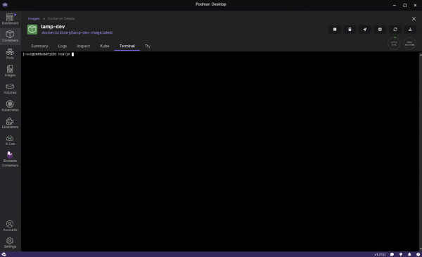 This Podman Desktop Container Details screen shows the Terminal tab.
