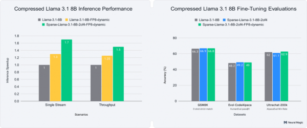 Inference performance and accuracy results for dense BF16, sparse BF16, dense FP8, and sparse FP8 versions of Llama 3.1 8B through vLLM on an H100 GPU.