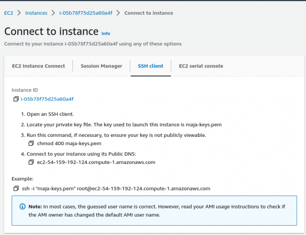 Connect to instance details