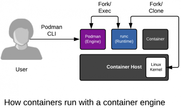 Relation is shown between: CLI, Podman, runc, the container image and the host.