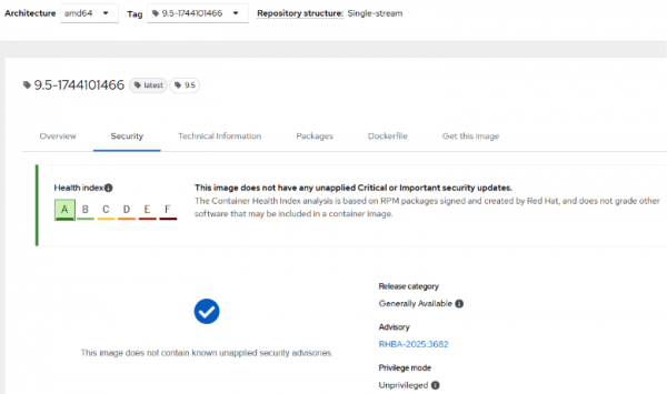 Clicking on the Health index link shows you several tabs you can monitor: Overview, Security, Technical information, Packages, DockerFile, and Get this image.