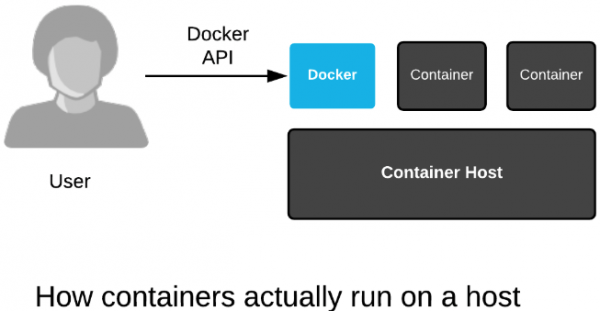 Containerized processes are just fancy Linux processes with extra isolation from normal Linux processes.