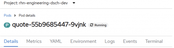 Click the Resources tab then the link to the running pod to reveal the pod information details.