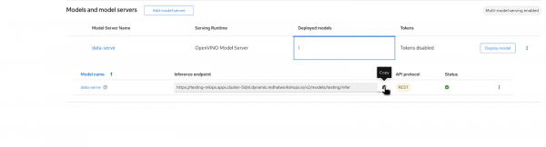 Copy the inference endpoint.