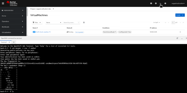Creating SSH key from OpenShift web terminal.
