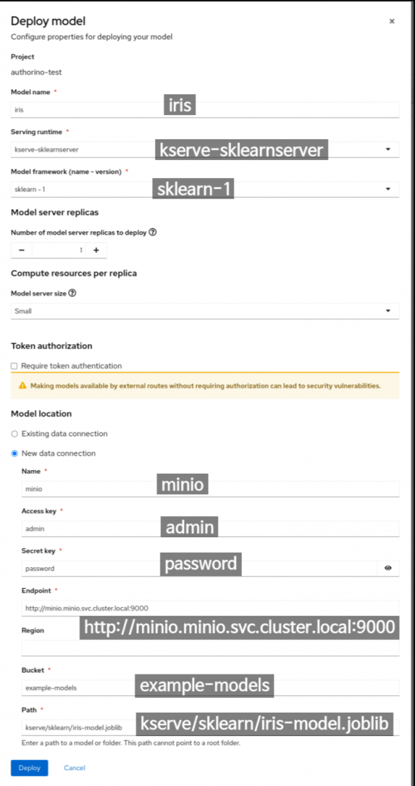 A view of the screen that appears after clicking Deploy model with fields for the user to enter the model information.