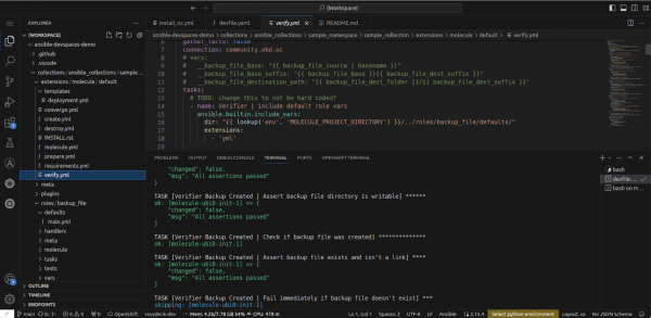 Run the 3.Molecule: run the verification against the test pod command one more time and the file should be there.