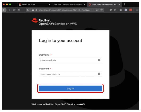 Enter your cluster-admin username and password.