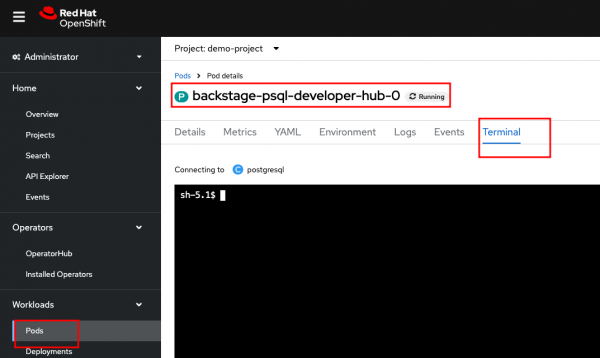 OpenShift terminal