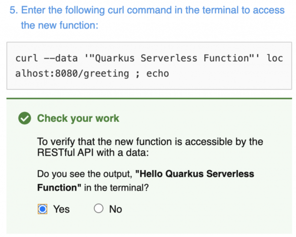 Use a curl command to check the status of your application.