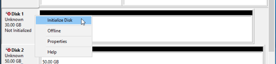 Disk 1 > Initialize Disk.