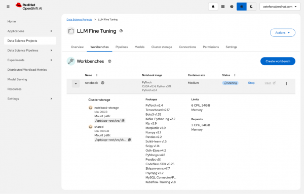 Workbenches list in Red Hat OpenShift AI showing the new notebook workbench with a status of Starting.
