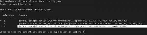 Shows the JDK selected: openjdk-17.0.5.0.8–2.fc35.x86_64.