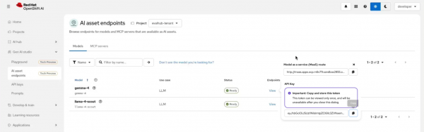 Red Hat OpenShift AI dashboard showing the AI asset endpoints view with a pop-up displaying a MaaS route URL and an API key token.