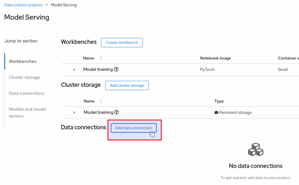 The data connections section and the add data connection button.