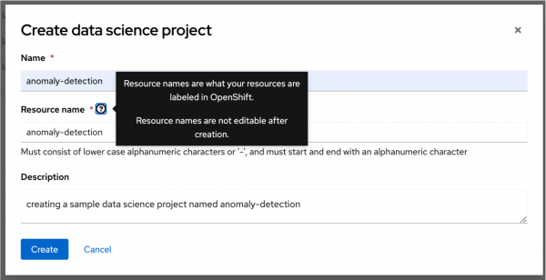 Figure 4: Complete the required fields to set up your new data science project.