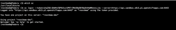 Once you have a login token, you can use the oc CLI tool to access the remote Developer Sandbox from your local machine