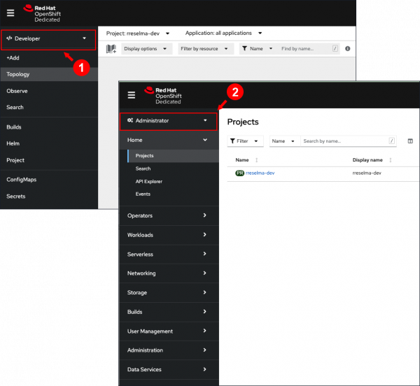 The two perspectives available in the Developer Sandbox are Developer and Administrator.