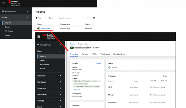 The Administrator perspective shows an expanded set of details associated with a project, like resource utilization and security settings.