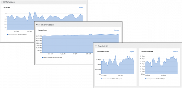 Metrics such as CPU Usage, Memory Usage and Bandwidth metrics are available within the web console.