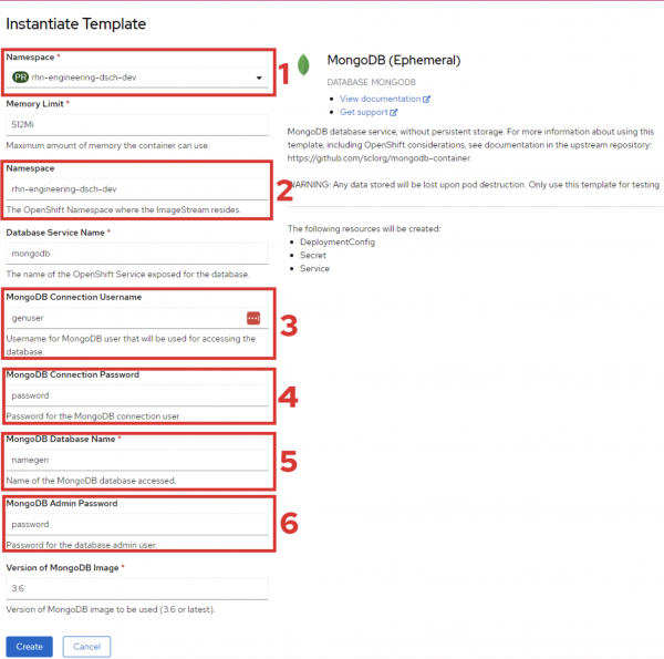 Enter configuration information for the MongoDB instance in the the Instantiate Template web page.