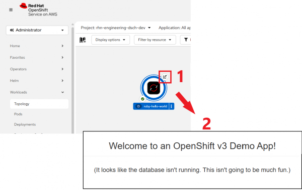 Click the icon in the upper right corner of the circular graphic to access the installed web application in a web browser.