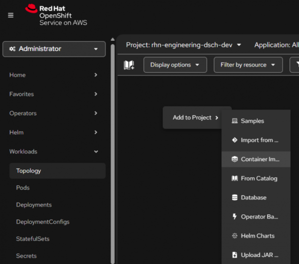 Select the Container image option from the Add to Project menu