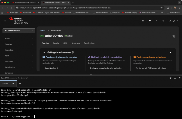 A terminal showing the models hosted by the inference services