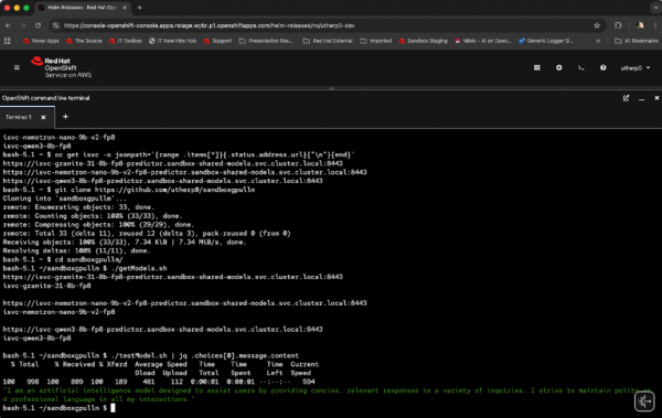 A terminal readout showing a response from the Granite model.