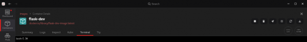 Terminal screen for the flask-dev container.