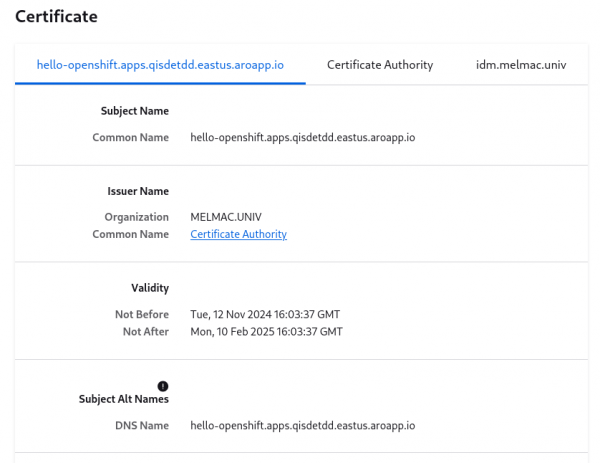 Mozilla Firefox displaying the TLS certificate of the hello-openshift app.