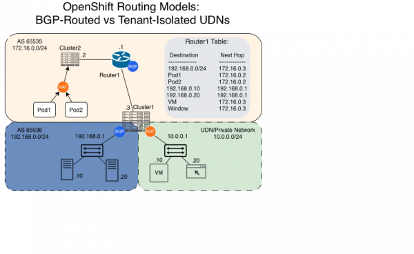 This graphic illustrates the BGP autonomous system boundaries and NAT translation points.