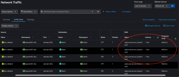 This table shows FQDN DNS queries.