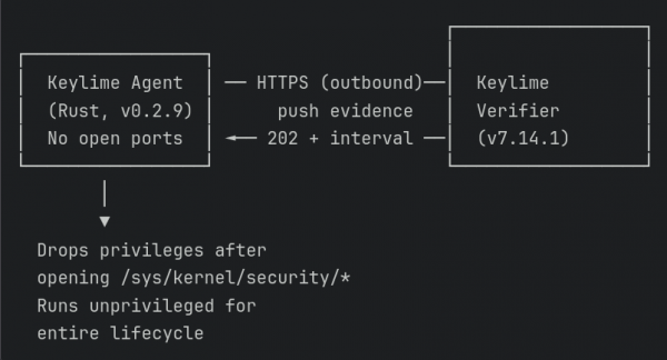 Keylime agent as HTTPS client.