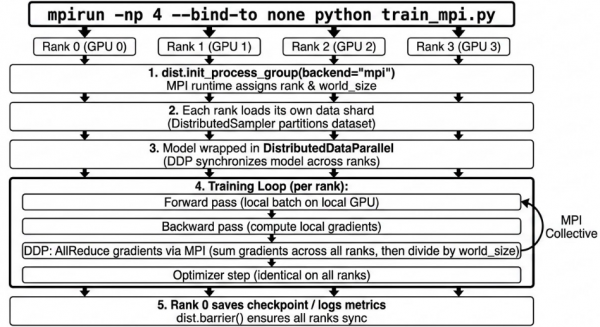 Flowchart diagram showing the initialization and loop steps of a four-process mpirun command using PyTorch distributed data parallel with an MPI backend. The process flows down from launching processes and assigning ranks (0 through 3) into local data shards, executing forward and backward training passes, running an MPI collective all-reduce gradient synchronization phase, and concluding with a rank 0 checkpoint save after a dist.barrier() synchronization event.