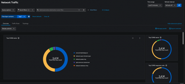 This graphic shows the top five DNS names queried most.