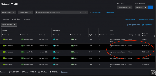 This table shows the NXDOMAIN response codes for partial DNS queries.